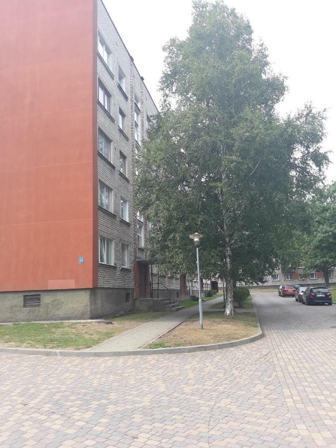 Talsu Iela 24 Apartment Ventspils Bagian luar foto